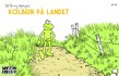 Kolbein på landet