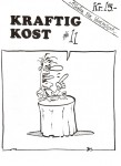 Kraftig Kost 11